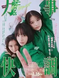 《蒙特利尔，我的美人》在线播放